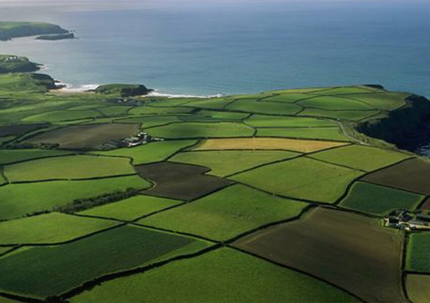 Image of green fields by the coast 