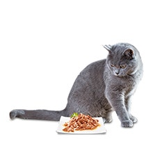 <p>Appealing Flavour</p>