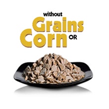 <p>Appealing Flavour</p>